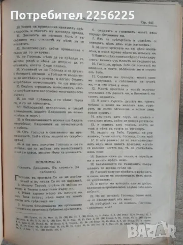 Библия 1925 година , снимка 6 - Антикварни и старинни предмети - 48353074