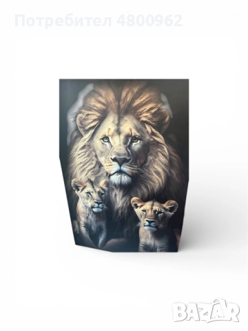 Картина за стена