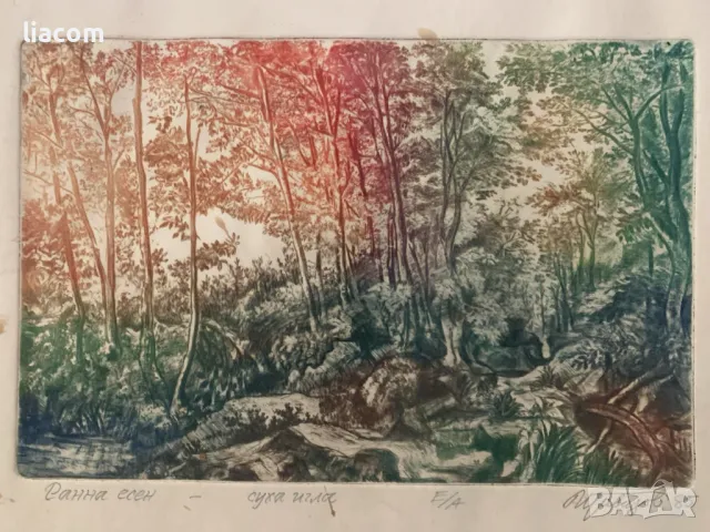 Иван Гавазов (1932–2021) - суха игла, снимка 1