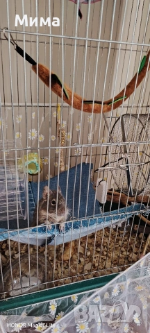 клетка за гризачи, снимка 6 - За гризачи - 53704859