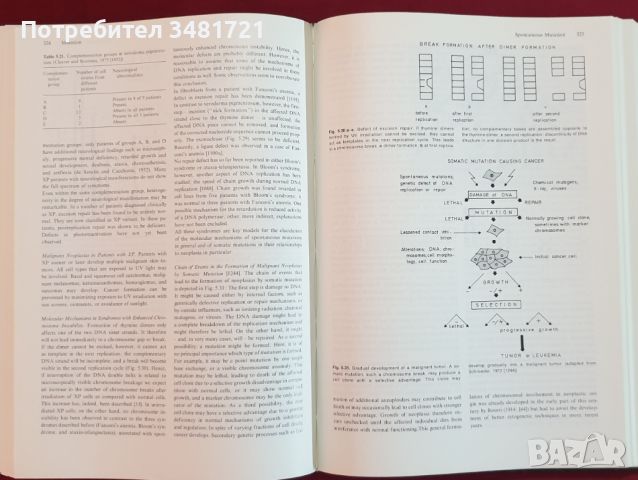 Човешката генетика - проблеми и подход / Human Genetics. Problems and Approaches, снимка 7 - Специализирана литература - 46215326