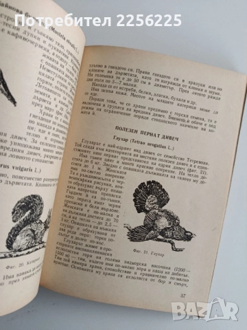 Наръчник на дивечовъда, снимка 5 - Специализирана литература - 52441752