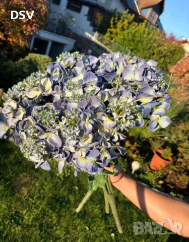 Кичеста едра хортензия изкуствена, снимка 2 - Изкуствени цветя - 53698583