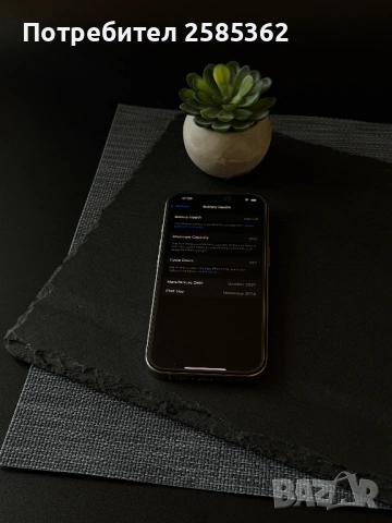 iPhone 16 Pro 256GB Natural Titanium / 91% Батерия / Перфектен, снимка 3 - Apple iPhone - 53758281