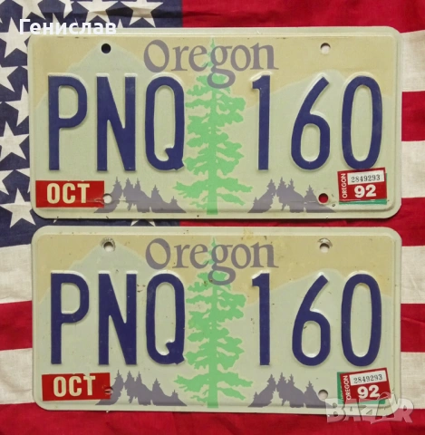 Американски Регистрационни Номера Табели USA Комплект ЧИФТ, снимка 14 - Колекции - 53512051