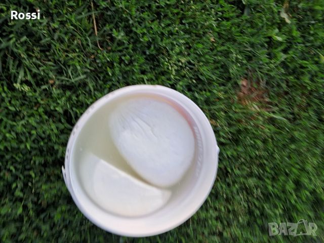 ЗРЯЛО КОЗЕ СИРЕНЕ;птиче месо/ домашно, снимка 4 - Домашни продукти - 46237896