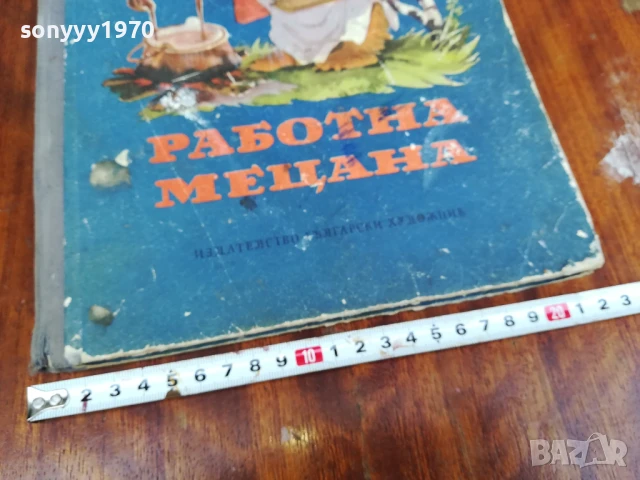 РАБОТНА МЕЦАНА 30Х20СМ 0906251844LCHERY, снимка 14 - Други - 50606745