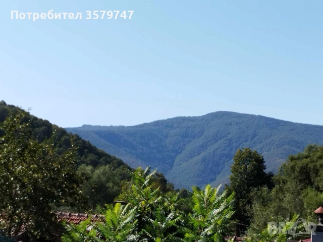 Порадвам къща в Плачковци , снимка 12 - Къщи - 53763311