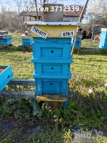 9 рамкови кошери, снимка 3 - Други - 54159745