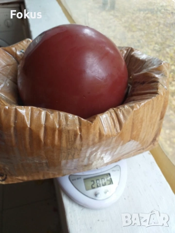 КАТАЛИН БАКЕЛИТ - МАТЕРИАЛ КОЙТО СЕ ИЗПОЛЗВА ЗА БРОЕНИЦИ, снимка 6 - Антикварни и старинни предмети - 53512007