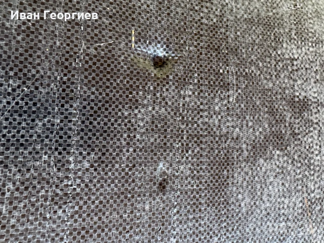 Детски дъски за плуване с размер 80х43х3 см - 3 броя , снимка 5 - Водни спортове - 50980030