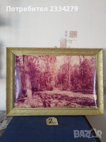 Стари барокови дървени рамки за картини и гоблени, снимка 17 - Картини - 51149896