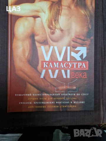 изкуство и др. книги, снимка 4 - Специализирана литература - 52233508