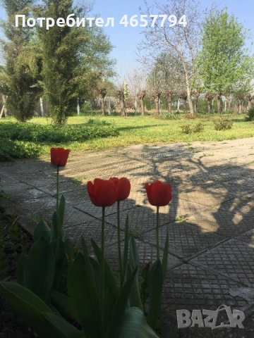 Къща в Първомай! , снимка 6 - Къщи - 53187485