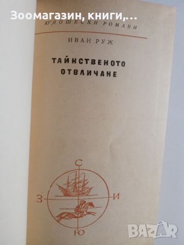 Тайнственото отвличане - Иван Руж, снимка 2 - Художествена литература - 45659078