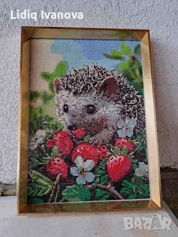 Диамантен гоблен таралеж-готов и рамкиран