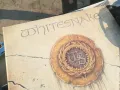 *WHITESNAKE-ПЛОЧА 1011240817, снимка 7