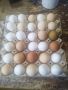 яйца от домашно гледани кокошки , снимка 2