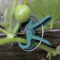 комплект 108 щипки за растения, за връзване на домати и краставици, снимка 2 - Градински инструменти - 45403872