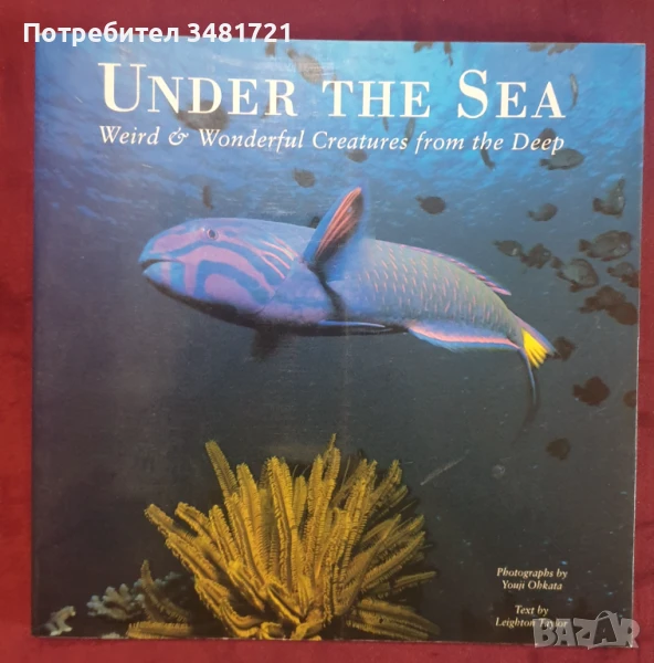 Животни от морските дълбини - илюстриран справочник / Under the Sea. Weird & Wonderful Creatures fro, снимка 1