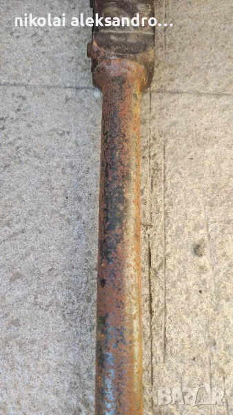 голяма тресчотка, снимка 1