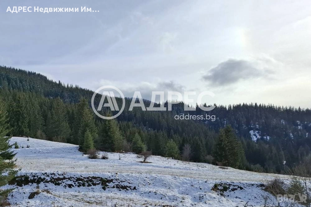 Продава, Парцел/ Терен, с. Стойките, общ. Смолян, снимка 1