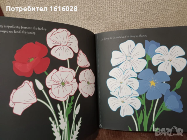 Арт книга с красиви цветни букети от разнообразни цветя за оцветяване., снимка 11 - Детски книжки - 51291513