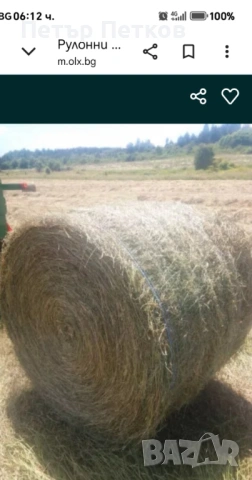 Ролони Бали сено