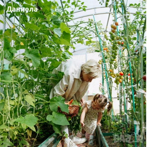 Армирано фолио за оранжерия - висока издръжливост с UV4 филтър, снимка 4 - Оранжерии - 53616873