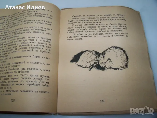 "През води и гори" от Емилиан Станев издание 1943г., снимка 5 - Художествена литература - 46937314