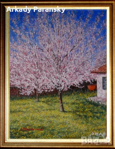 Кайсиев цвят , снимка 2 - Картини - 54148275