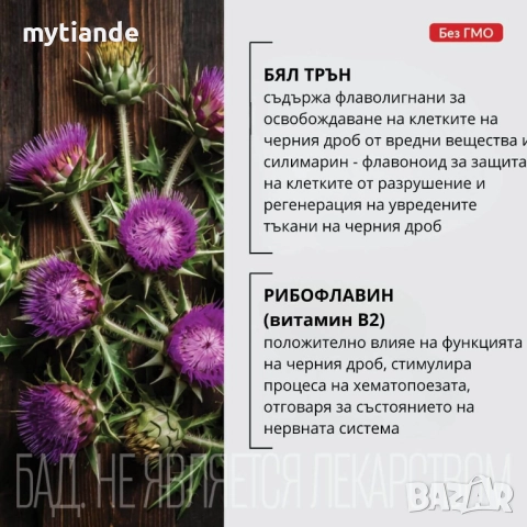 Таблетки с бял трън и рибофлавин, снимка 2 - Хранителни добавки - 33927252