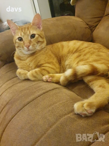 Чаровен Рижко търси партньорка