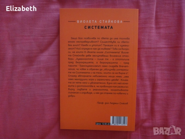 Системата - Виолета Стайкова, снимка 2 - Художествена литература - 52505416