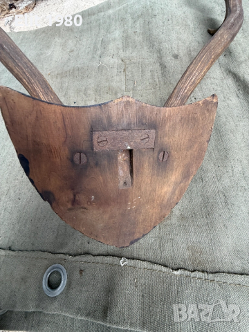 Продавам Ловен трофей , снимка 5 - Оборудване и аксесоари за оръжия - 52357320