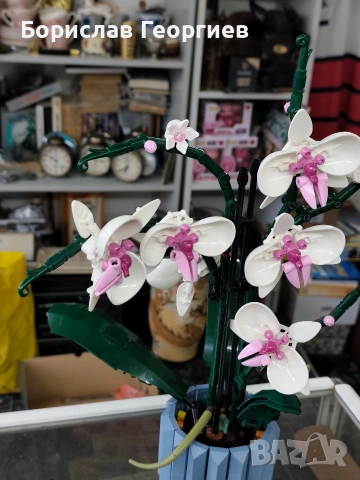 Лего 10311/10280/10281 Lego Botanicals, снимка 11 - Конструктори - 52639601