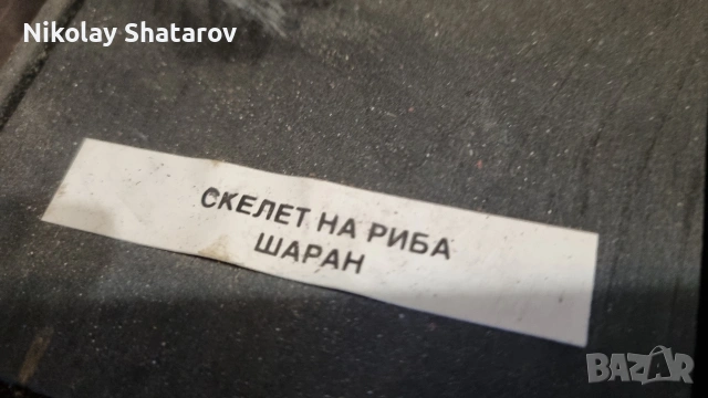 Стар анатомичен модел , снимка 3 - Други ценни предмети - 53830111