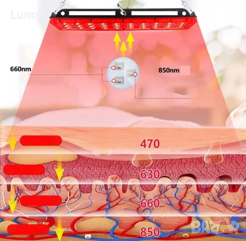 Инфрачервена LED лампа за терапия, снимка 4 - Козметични уреди - 51340936