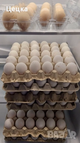 Яйца за консумация