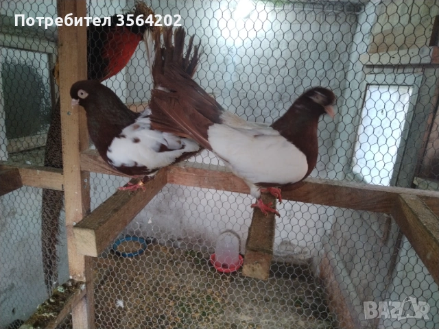 Белослатински огледални преметачи 1чифт