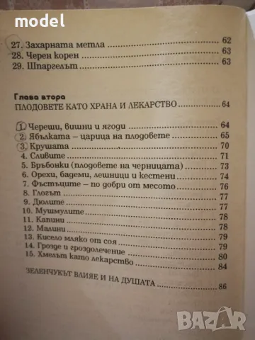 Лекуване със зеленчуци и плодове , снимка 3 - Специализирана литература - 38195348