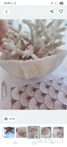 Морски артикули декорация , снимка 10 - Други - 53250087