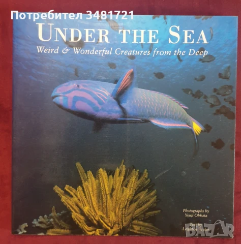 Животни от морските дълбини - илюстриран справочник / Under the Sea. Weird & Wonderful Creatures fro, снимка 1