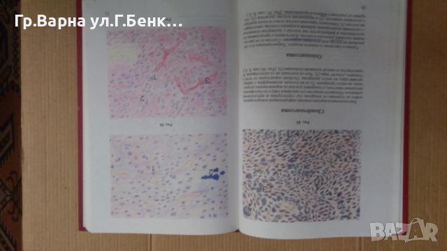 Атлас по хистология Христо Миленков, снимка 3 - Специализирана литература - 45870604