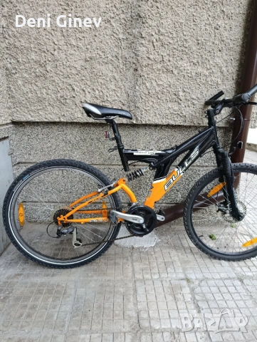 Bulls Wild One Novice 26″