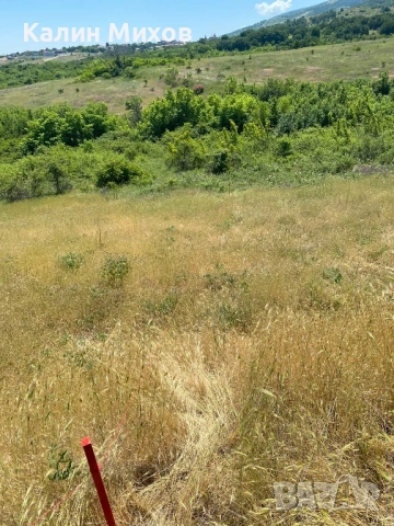 земеделска земя намираща в землището на село Белащица и Марково, снимка 12 - Земеделска земя - 52448452