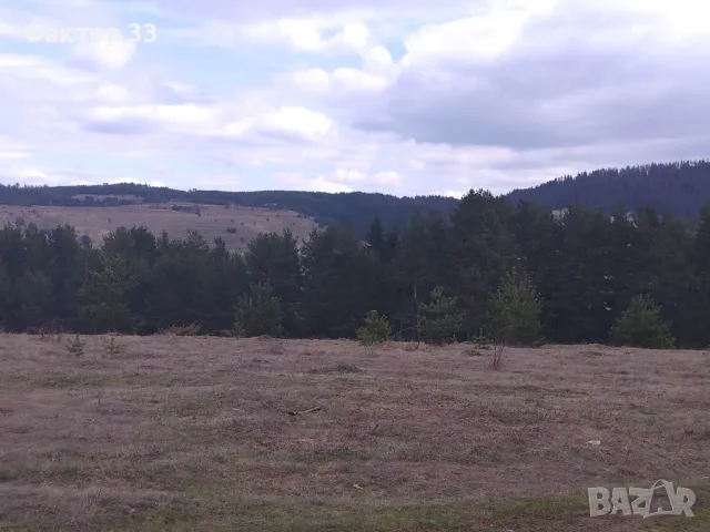 РАЗКОШЕН ПАНОРАМЕН РАВЕН ПАРЦЕЛ в Мала църква , снимка 5 - Парцели - 49414249