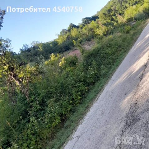 Земеделска земя , снимка 6 - Земеделска земя - 51105560