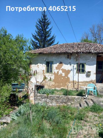 Продажба на имот в село Несла, снимка 4 - Къщи - 45266310
