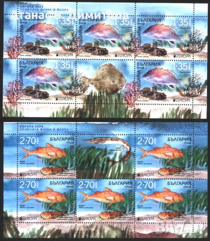 Чисти марки в малки листове Европа СЕПТ Риби 2024 България, снимка 1 - Филателия - 46123230